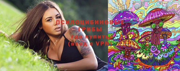 mdpv Магас
