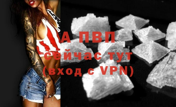 mdpv Магас